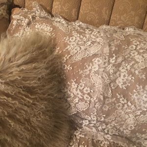 Bella Notte pair of Olivia lace pillow cases.